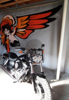 Harley davidson